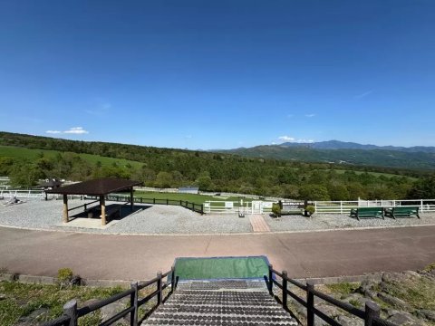 🏞️ 야마나시 현립 마키바 공원(山梨県立 まきば公園) 이미지 4